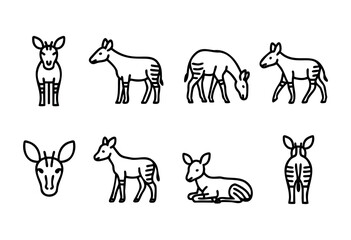Set of eight line art illustrations of okapis in various poses and views. Simple, bold black outlines on a white background. Perfect for children's books, educational materials, or branding.