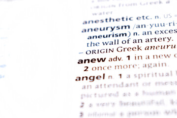 Fototapeta premium English Dictionary Page Close Up With the Word Of -anew