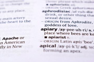Fototapeta premium Close Up Of English Dictionary Page With Word - apiary