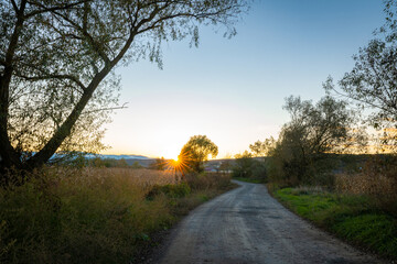 Winding gravel road through the tranquil Transylvanian countryside as the sun sets, casting warm light between trees