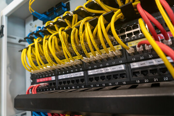 Network Switch with Colorful Ethernet Cables