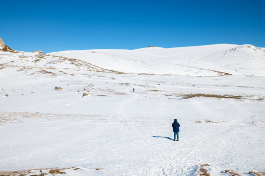 Lone figure walks across a vast snowy landscape under a brilliant blue sky in the Bucegi Mountains of Romania, surrounded by peaceful winter silence