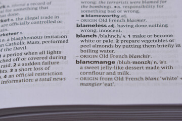 Close Up Of English Dictionary Page With Word - blanch