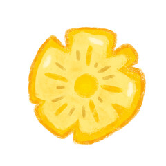 Half Pineapple Crayon Illustration with Transparent Background