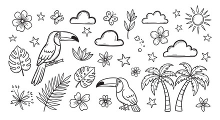 Naklejka premium Hand drawn tropical summer elements collection. Includes toucans, palm trees, leaves, and flowers. Perfect for vacation, travel, and jungle themed designs