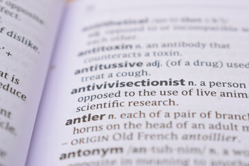 Close Up Of English Dictionary Page With Word - antler