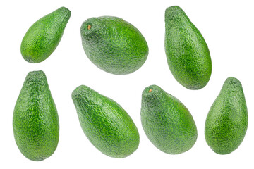 Collection of fresh green avocados isolated, tropical fruit rich in healthy fats and vitamins, clean food concept advertising or banner
