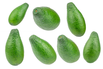 Collection of fresh green avocados isolated, tropical fruit rich in healthy fats and vitamins, clean food concept advertising or banner