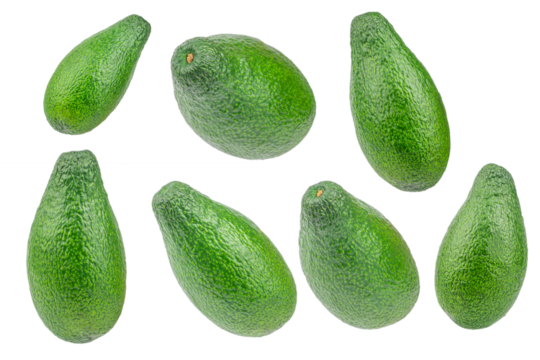 Collection of fresh green avocados isolated, tropical fruit rich in healthy fats and vitamins, clean food concept advertising or banner