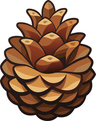 Pine cone  , white background 