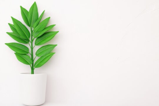 Plant care app Grow therapy Esg fintech Vue formulate sbti SD-WAN plantyou Emitwise EcoVadis Branching tree, product diversification, expanding market reach, 3D render. A minimalist visualization of