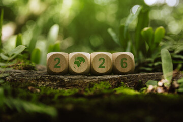 Wooden cube 2026 in forest.