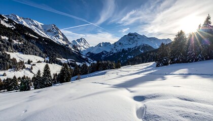 A sunlit valley view of snow-covered mountains and evergreen trees against a clear blue sky with contrails