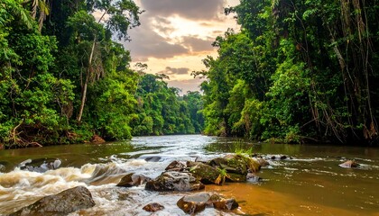 A winding river flows through a dense, green forest under a cloudy, sunset sky. Warm sunlight touches rocks
