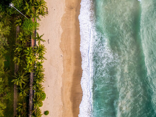 tropical beach background from above