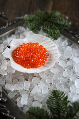 Red caviar in shells on ice. Ice on a metal tray. Spruce branches. The concept of the holiday.