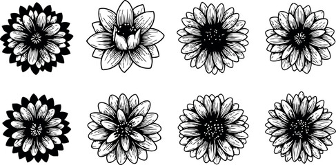 Obraz premium Black and white hand drawn decorative flower collection with detailed petals and stamen elements for design use vector set