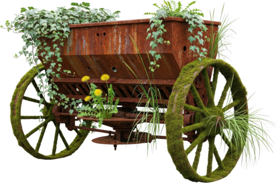An antique rusty farm planter with moss covered wheels and green ivy growing on it displaying dandelions and grass old weathered garden vintage vehicle
