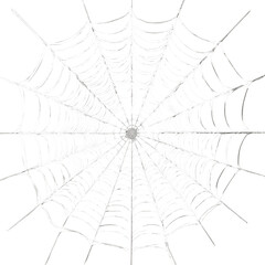 Obraz premium Spider web with a refined, elegant design isolated on transparent White background png