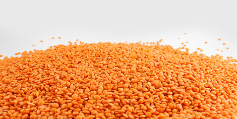 Red lentil background. Beautiful red lentils.