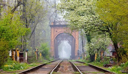 Train tracks lead through a blooming green passage under an old bridge.