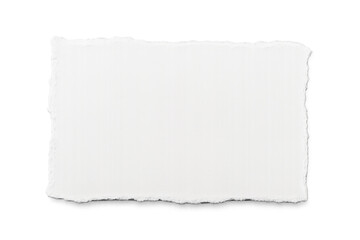 Obraz premium White torn horizontal paper strip featuring rough edges, a blank texture, and a transparent background for creative design