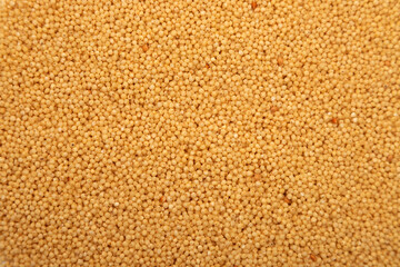 Raw millet grains close-up background texture