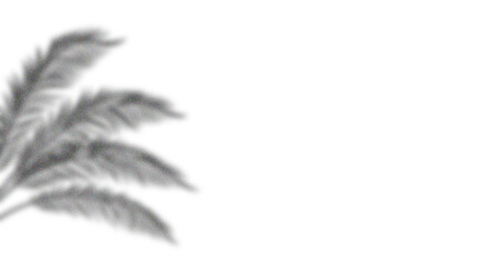 Tropical palm leaf frame on white background, elegant black and white botanical border design with...
