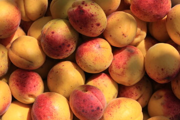 Sun-Kissed Apricot Abundance: Full Frame Food Texture