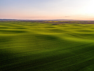 Rolling green agricultural fields during a peaceful sunset