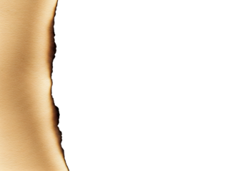 Craft paper with naturally burnt edges for vintage invitations, rustic designs and creative projects, adding character and authentic feel to any layout