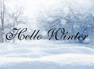 Hello winter card with fluffy snow in forest