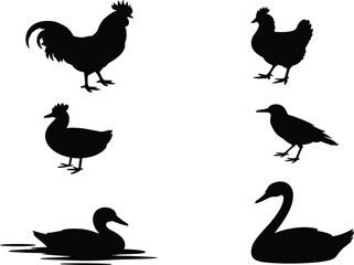 Set of Poultry and Waterfowl Silhouettes Including Rooster, Hen, Duck, and Swan, Representing Farm Animals, Nature, and Bird Species