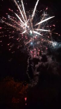 Spectacular 4K vertical video of colorful fireworks exploding against a deep black night sky, with silhouetted trees at the bottom creating a stunning contrast. Perfect for celebrations, holidays, and