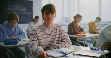 Young Student in Striped Sweatshirt With Focused Expression Sits Desk. Other Pupils Study in Background. Concept Student Confidence, Friendliness, Positive Learning Environment in Education. Portrait.