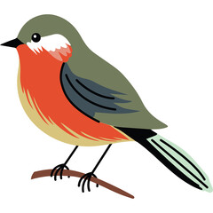 Cute Small Robin Bird With Red Breast Perched On A Twig Against A Transparent White Background Detailed Vector Illustration