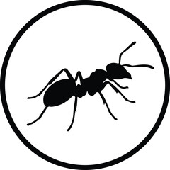 Illustration Ant icon black and white insect silhouette vector