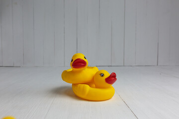 Two Rubber Ducks Big and Small	