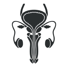 male reproductive organ. logo flat design, bladder icon, simple hand drawn organ vector illustration, flat design element. Illustration design for, logo, symbol, icon, and emblem.	