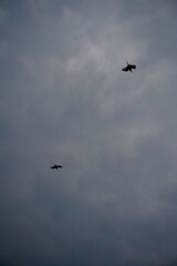 Birds in synchronized motion against dramatic cloudy backdrop