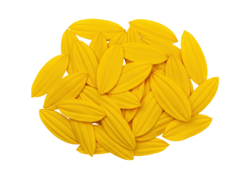 Isolated pile of bright yellow petals, studio shot, floral elements for design, beauty concept