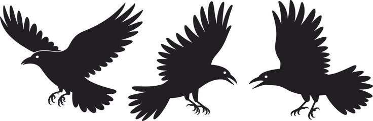 Set of Three Crow or Raven Silhouettes in Dynamic Flight Poses, Representing Wildlife, Gothic, Mystery, and Nature Action