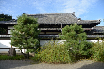 大聖寺　本堂　京都市上京区御所八幡町