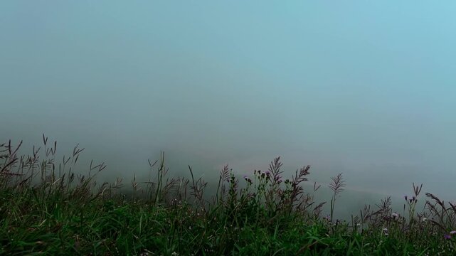 Timelapse of beautiful green western ghats of Karnataka.