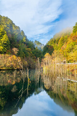 夜明け前の自然湖の水面に映る紅葉