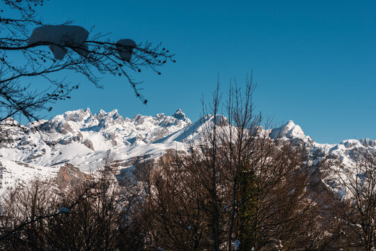 Snowy mountain range behind leafless winter trees