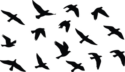 Illustration of silhouette of birds flying in formation, representing freedom, migration, and natures beauty