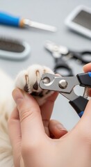Woman trimming a cat's claw with a clipper. Pet care at home, grooming procedure for domestic feline. Animal hygiene concept.
