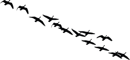 Illustration of silhouette of a flock of birds flying in formation, , creating a sense of migration and freedom in nature