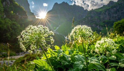 Sunlit mountain meadow with blooming wildflowers and majestic peaks.